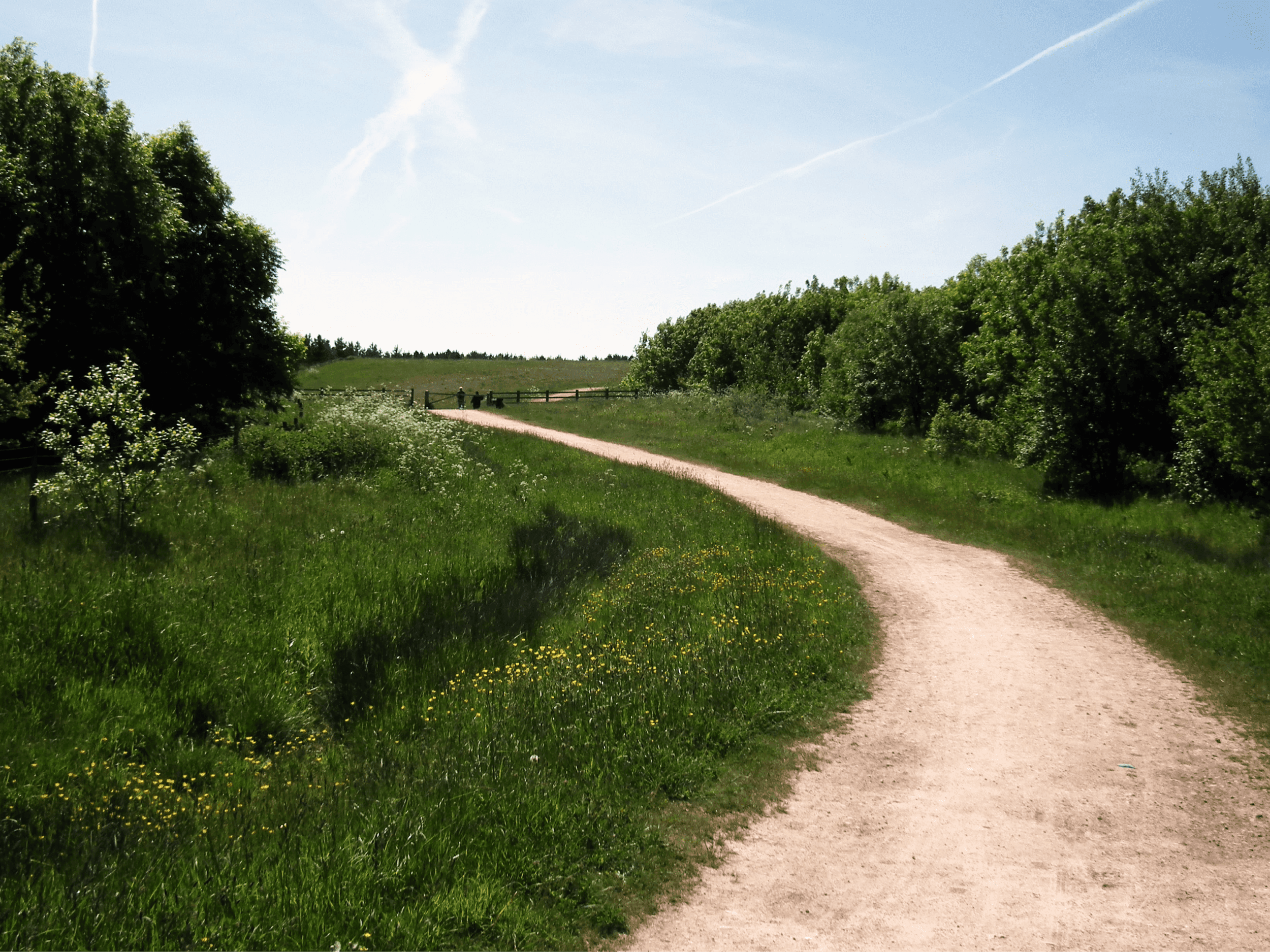 Image of Teversal Trails path in green countryside on a sunny day